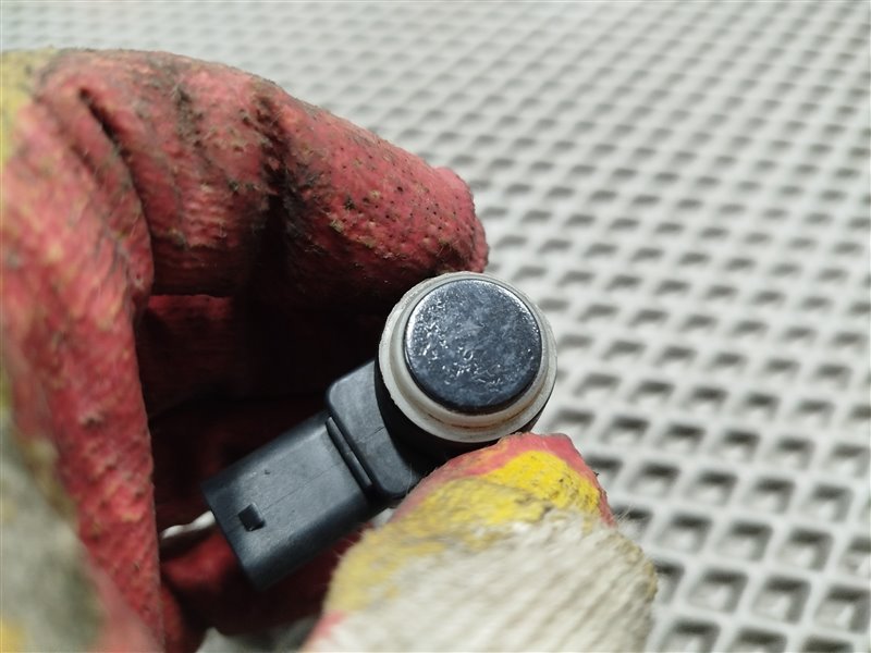 парктроник, 1900 рублей, Санкт-Петербург