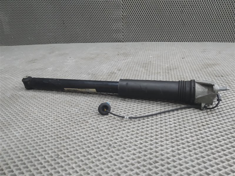 амортизатор, 10000 рублей, Санкт-Петербург