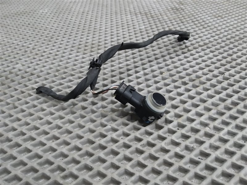 парктроник, 1660 рублей, Санкт-Петербург