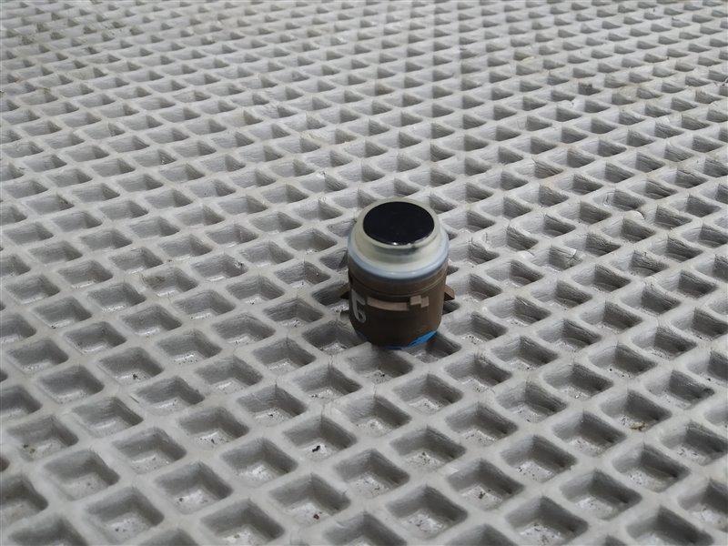 парктроник, 1425 рублей, Санкт-Петербург