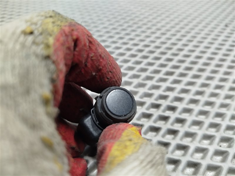 парктроник, 1620 рублей, Санкт-Петербург