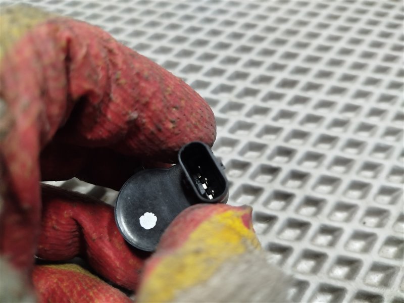 парктроник, 1620 рублей, Санкт-Петербург