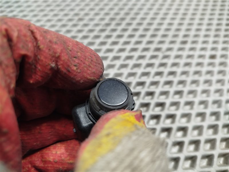 парктроник, 1620 рублей, Санкт-Петербург