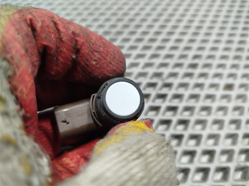 парктроник, 1800 рублей, Санкт-Петербург