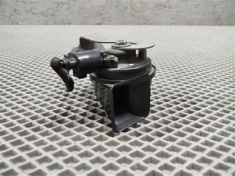 звуковой сигнал, 2000 рублей, Санкт-Петербург