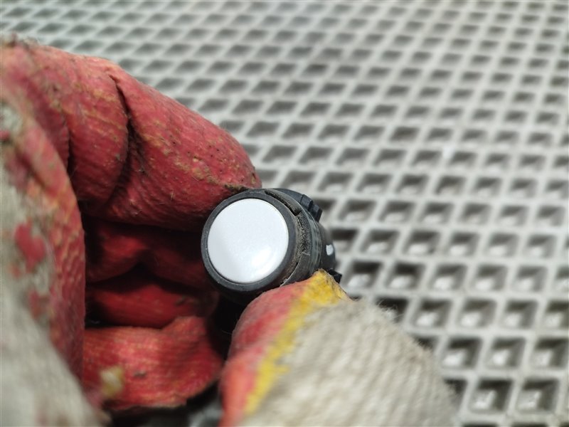 парктроник, 1800 рублей, Санкт-Петербург