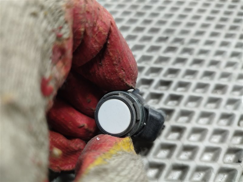 парктроник, 1800 рублей, Санкт-Петербург