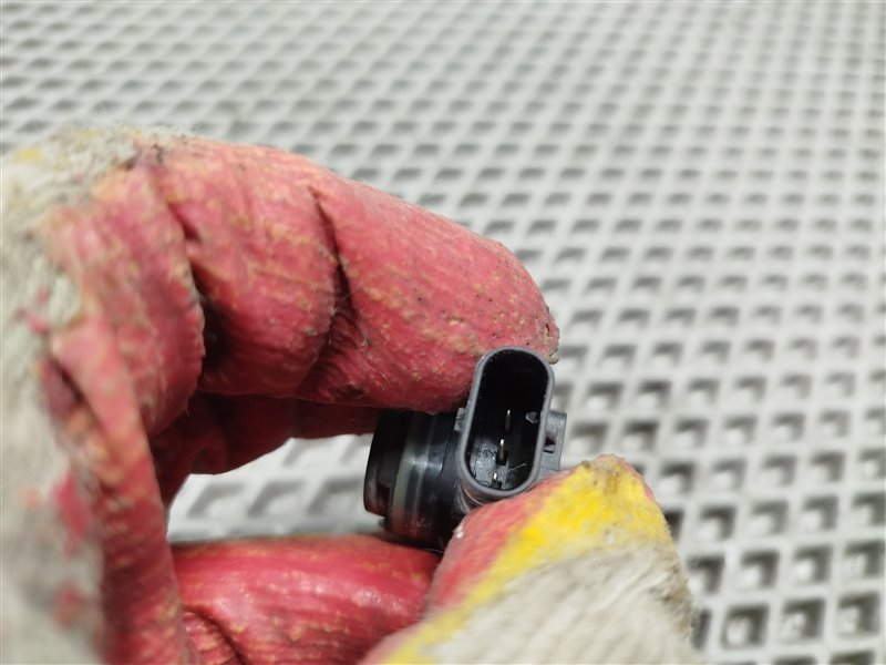 парктроник, 1900 рублей, Санкт-Петербург