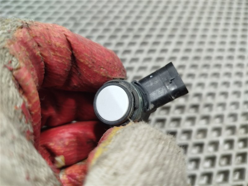 парктроник, 1900 рублей, Санкт-Петербург