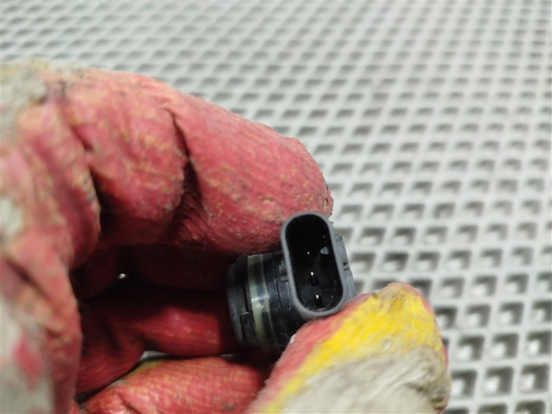 парктроник, 1900 рублей, Санкт-Петербург