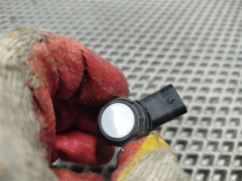 парктроник, 1900 рублей, Санкт-Петербург