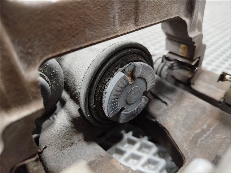 суппорт, 10000 рублей, Санкт-Петербург