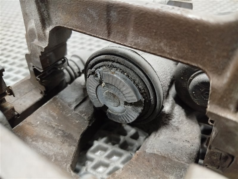 суппорт, 10000 рублей, Санкт-Петербург