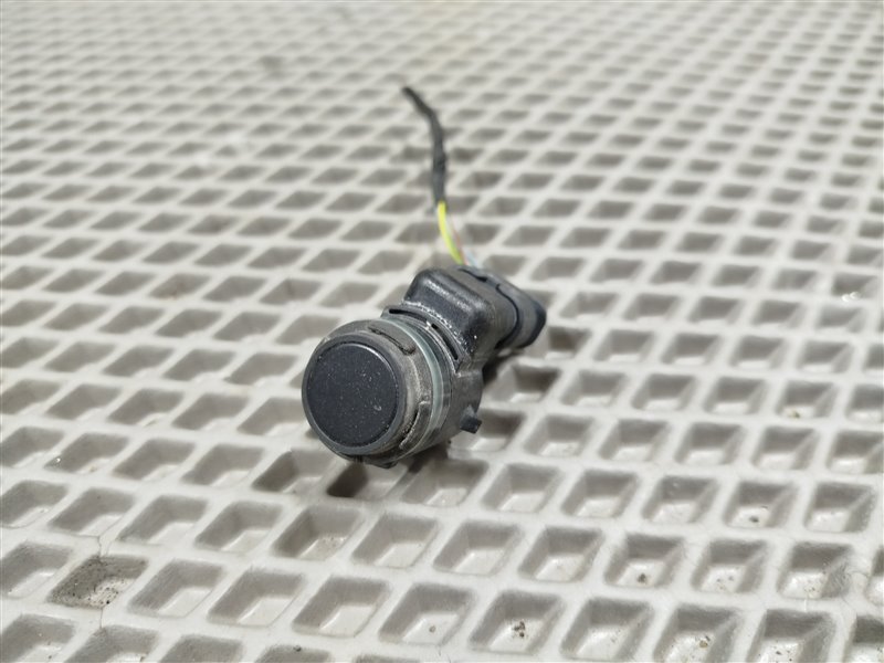 парктроник, 1900 рублей, Санкт-Петербург