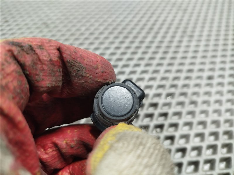 парктроник, 1900 рублей, Санкт-Петербург