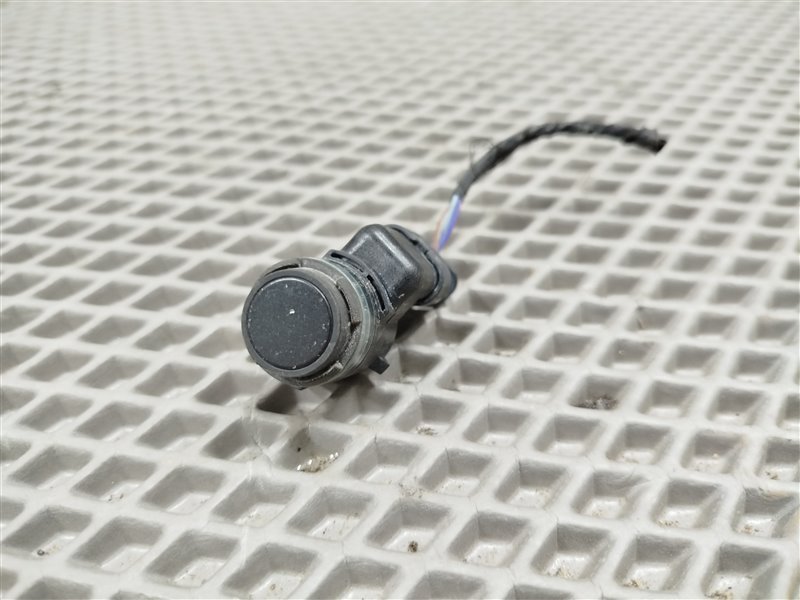 парктроник, 1900 рублей, Санкт-Петербург