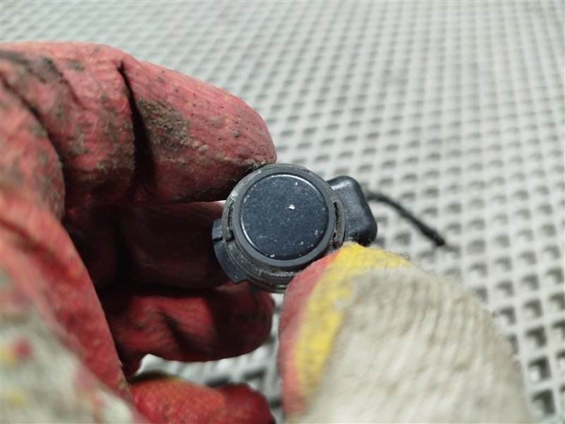 парктроник, 1900 рублей, Санкт-Петербург