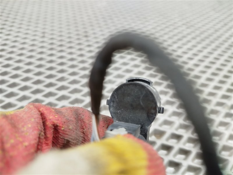 парктроник, 1900 рублей, Санкт-Петербург