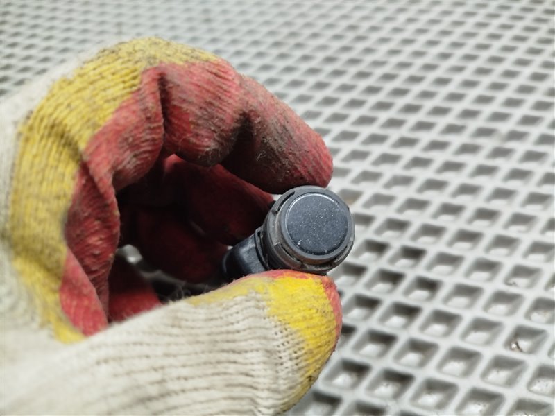 парктроник, 1900 рублей, Санкт-Петербург