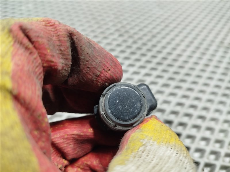 парктроник, 1900 рублей, Санкт-Петербург