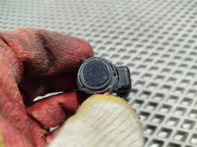 парктроник, 1900 рублей, Санкт-Петербург