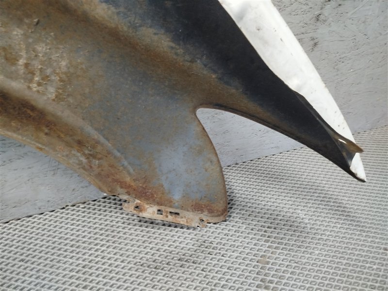 крыло, 10000 рублей, Санкт-Петербург