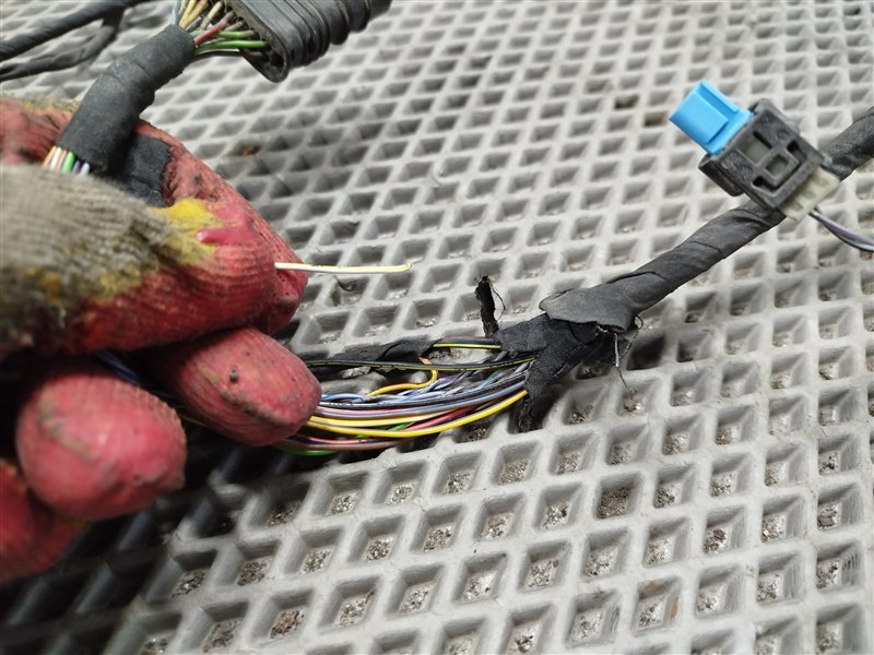 коса парктроников, 5000 рублей, Санкт-Петербург