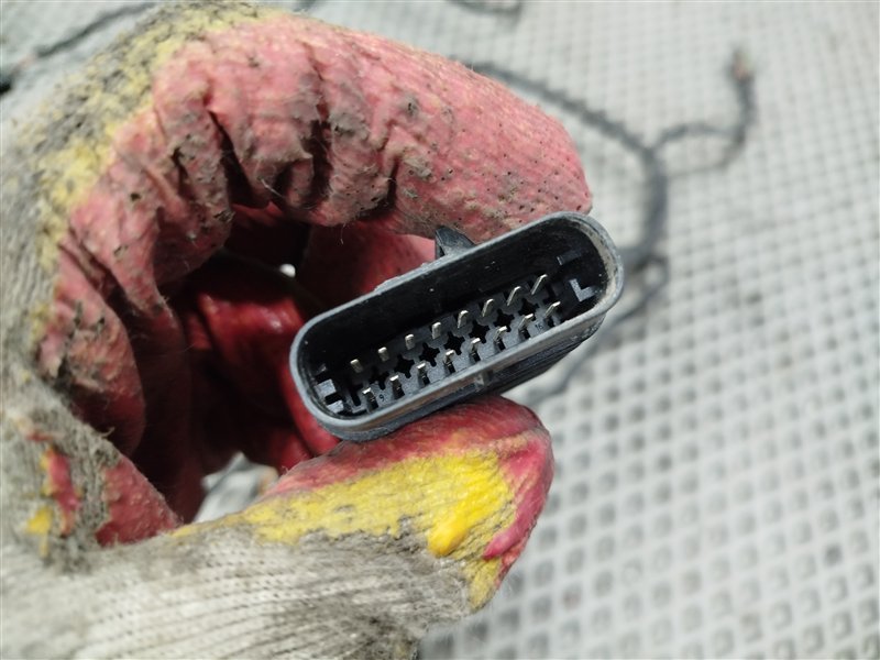 коса парктроников, 5000 рублей, Санкт-Петербург