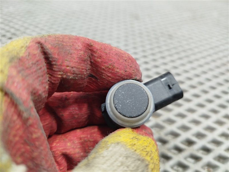 парктроник, 1290 рублей, Санкт-Петербург