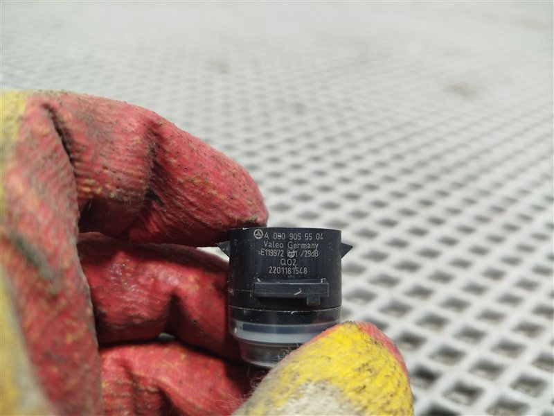 парктроник, 1290 рублей, Санкт-Петербург