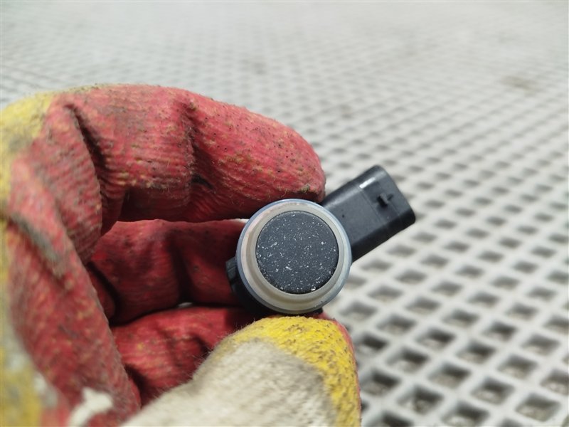 парктроник, 1290 рублей, Санкт-Петербург