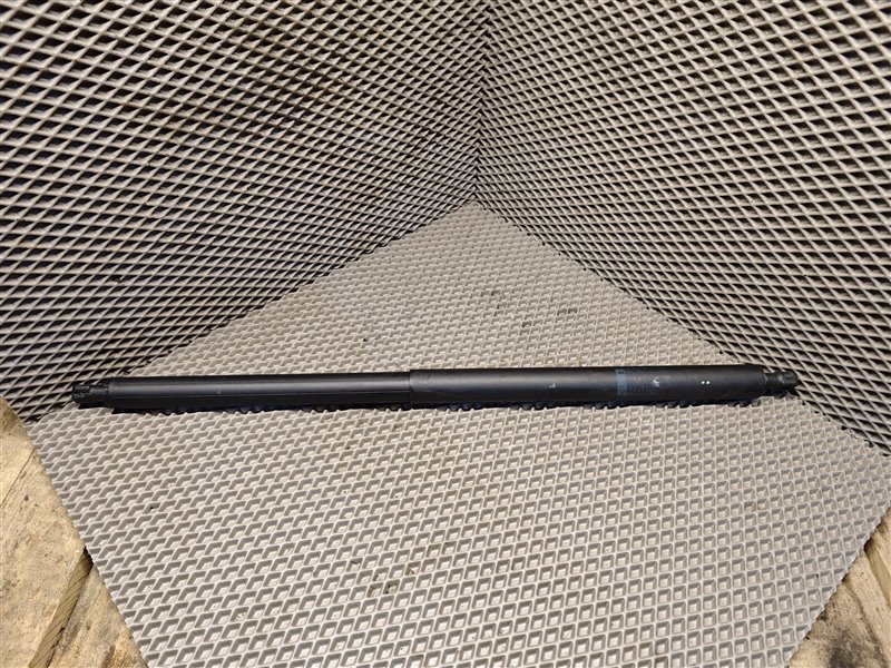 амортизатор багажника, 10000 рублей, Санкт-Петербург