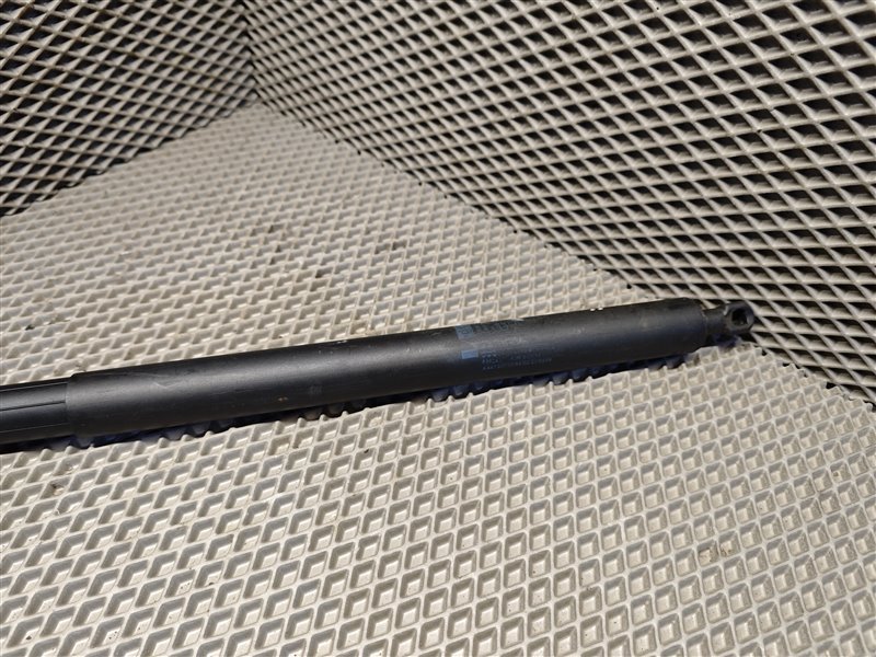 амортизатор багажника, 10000 рублей, Санкт-Петербург