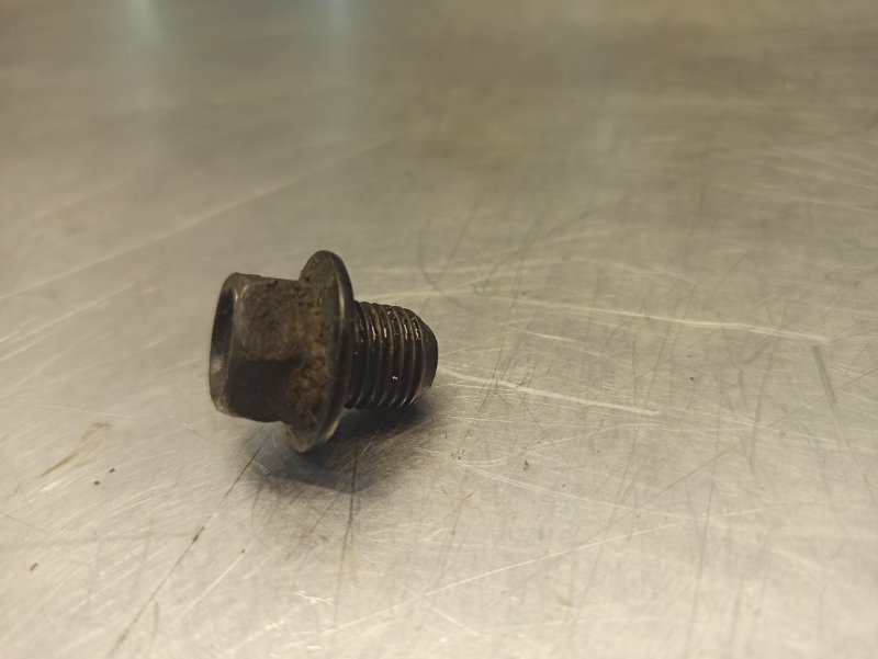 Пробка поддона сливная, 300 рублей, Екатеринбург