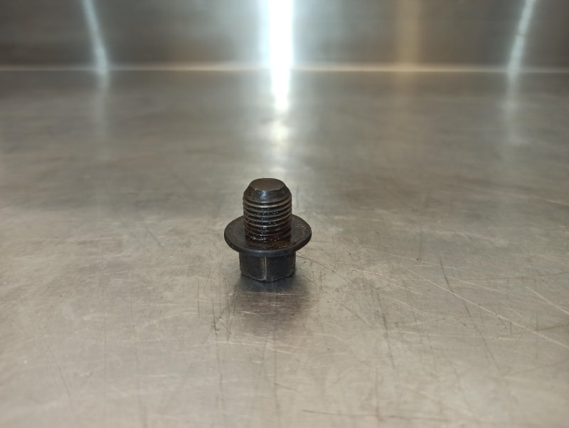 Пробка поддона сливная, 300 рублей, Екатеринбург