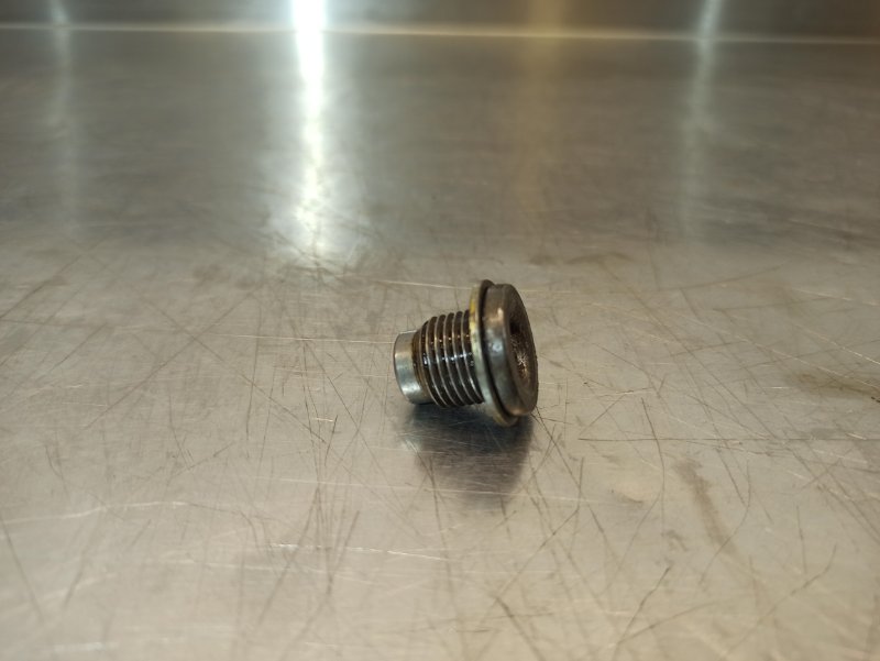 Пробка поддона сливная, 300 рублей, Екатеринбург