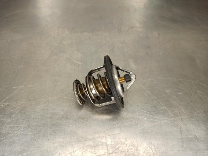 термостат, 500 рублей, Екатеринбург