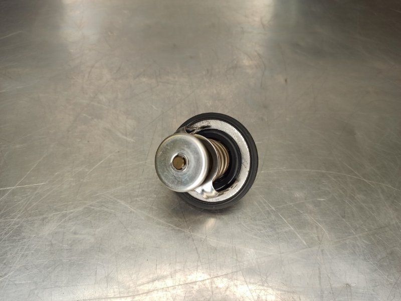 термостат, 500 рублей, Екатеринбург