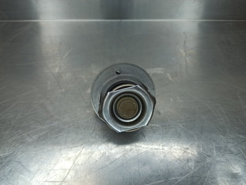 термостат, 500 рублей, Екатеринбург