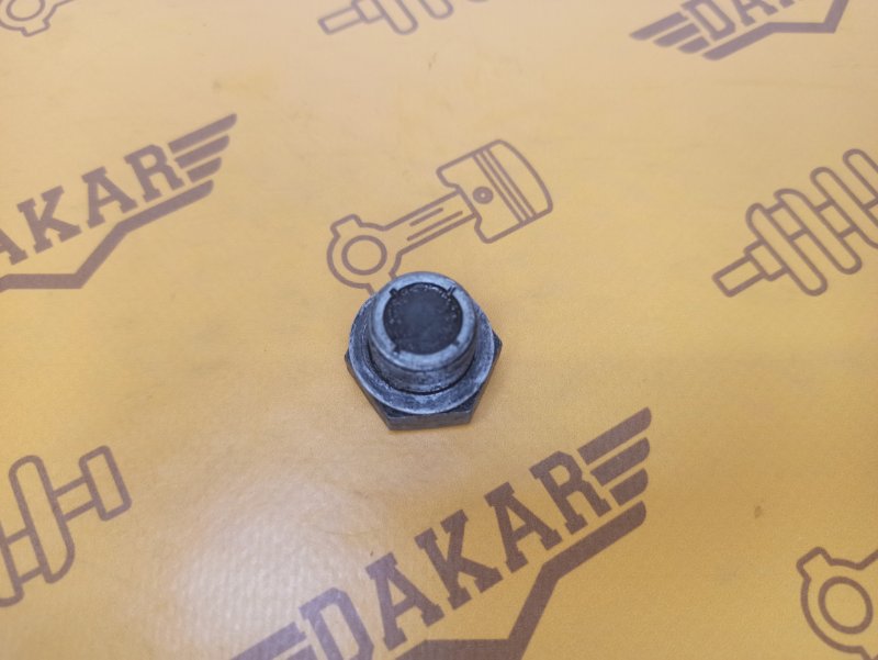 Пробка раздатки сливная с магнитом, 400 рублей, Екатеринбург