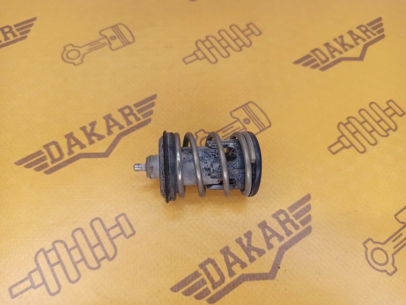 термостат, 1000 рублей, Екатеринбург