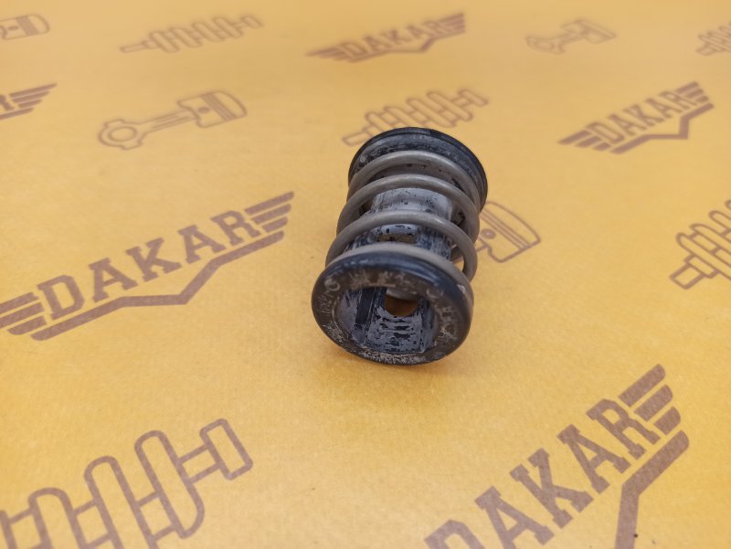 термостат, 1000 рублей, Екатеринбург