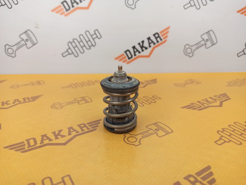 термостат, 1000 рублей, Екатеринбург