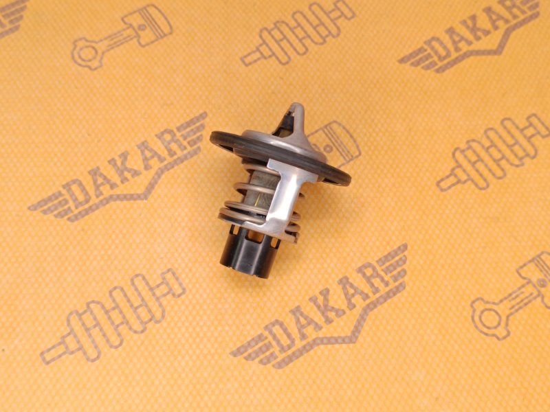 термостат, 500 рублей, Екатеринбург