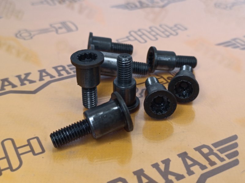 Болт башмака натяжителя цепи, 1000 рублей, Екатеринбург