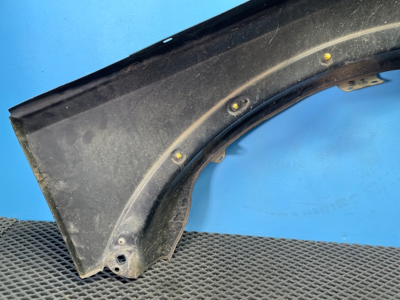 Крыло, 1000 рублей, Санкт-Петербург