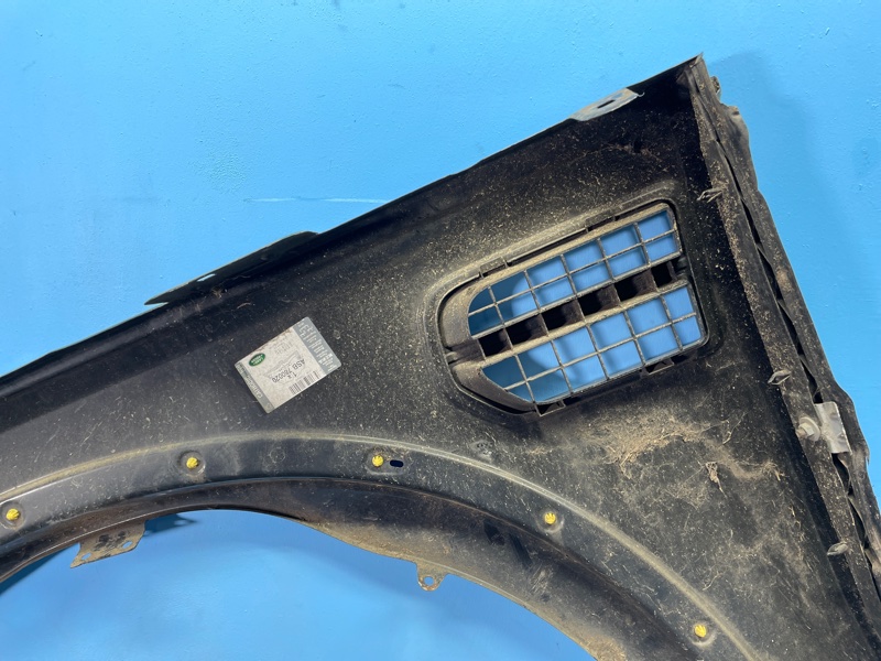 Крыло, 1000 рублей, Санкт-Петербург