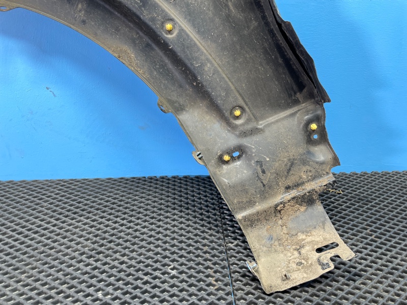 Крыло, 1000 рублей, Санкт-Петербург