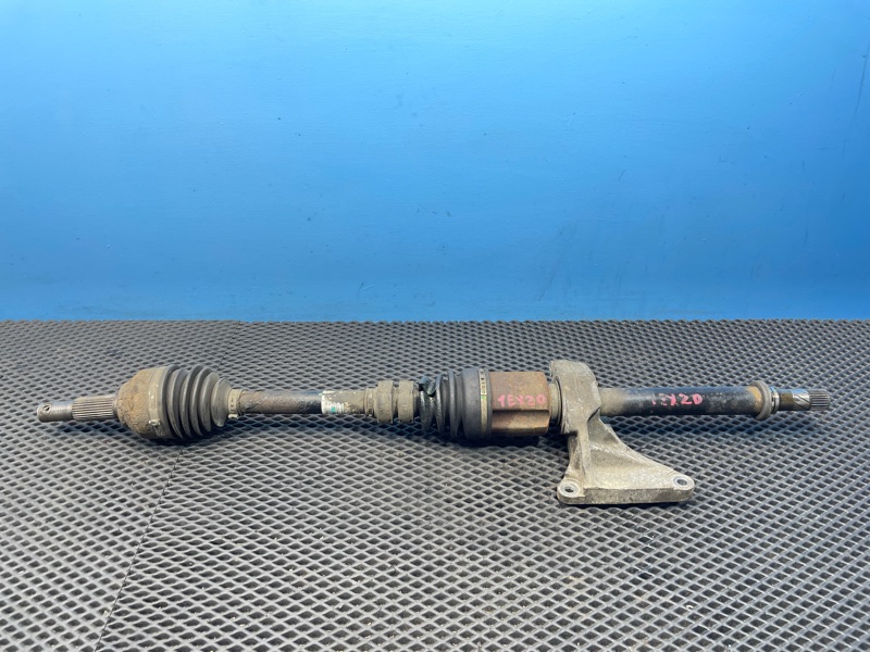 Привод, 1000 рублей, Санкт-Петербург