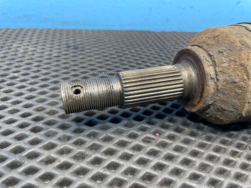 Привод, 1000 рублей, Санкт-Петербург